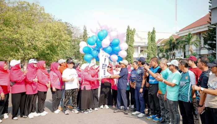 Peringatan HUT IBI ke-75 di Pinrang, Pemkab Dorong Penguatan Layanan Kesehatan Ibu dan Anak