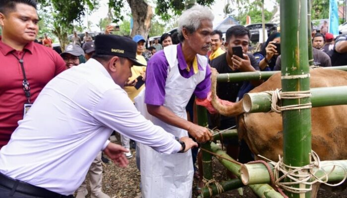 Peternak di Soppeng Terima Bantuan Rp2 M