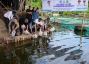 Irwan Hamid Dampingi Pj Gubernur Tebar Benih Ikan di Pinrang