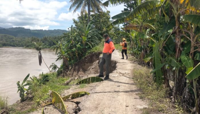 Kepala Pelaksana BPBD Pinrang, Dr Rhommy RM Manule saat meninjau lokasi abrasi sungai di Tanggul Sungai Dusun Masolo