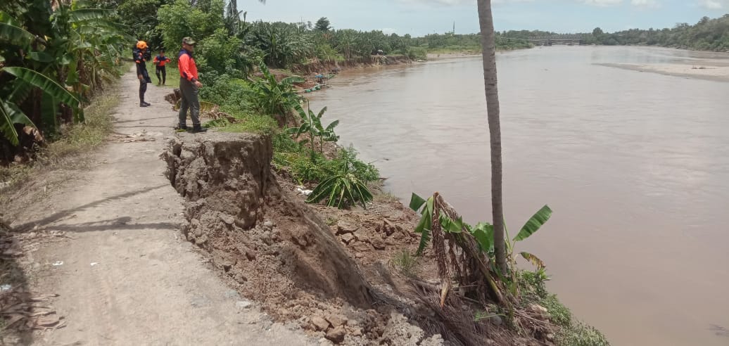 Kepala Pelaksana BPBD Pinrang, Dr Rhommy RM Manule saat meninjau lokasi abrasi sungai di Tanggul Sungai Dusun Masolo 1 Desa Masolo, Pinrang (IST)