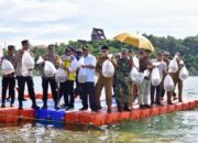 Jadikan Wajo Sentra Ikan Air Tawar, Bahtiar Tebar 250.000 Benih Ikan Nila