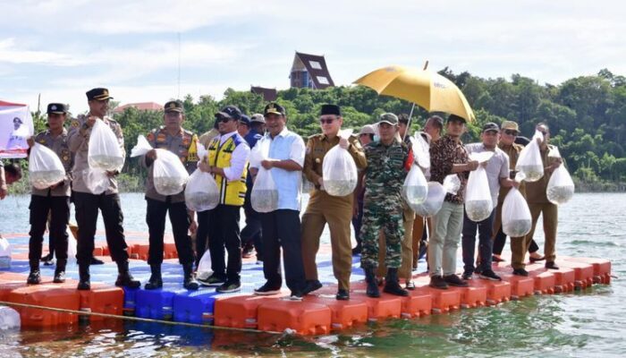 Jadikan Wajo Sentra Ikan Air Tawar, Bahtiar Tebar 250.000 Benih Ikan Nila