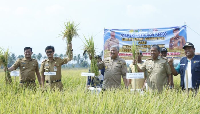 Dibawah Kepemimpinan Irwan Hamid Begini Prospek Infrastruktur Pertanian di Pinrang