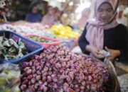 Harga Bawang Merah Akan Normal Mei