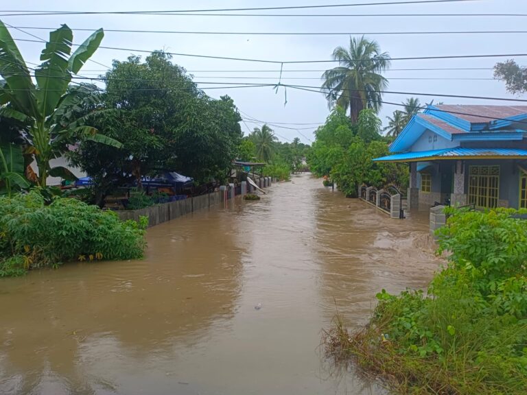 Banjir melanda setidaknya 4 desa terdampak di Kecamatan Mare, Kabupaten Bone, Sulawesi Selatan. Bencana ini menyebabkan 7.682 warga terdampak