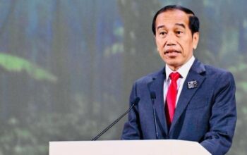 Presiden Joko Widodo (Jokowi) telah memperingatkan tentang seriusnya masalah kekeringan dan gelombang panas