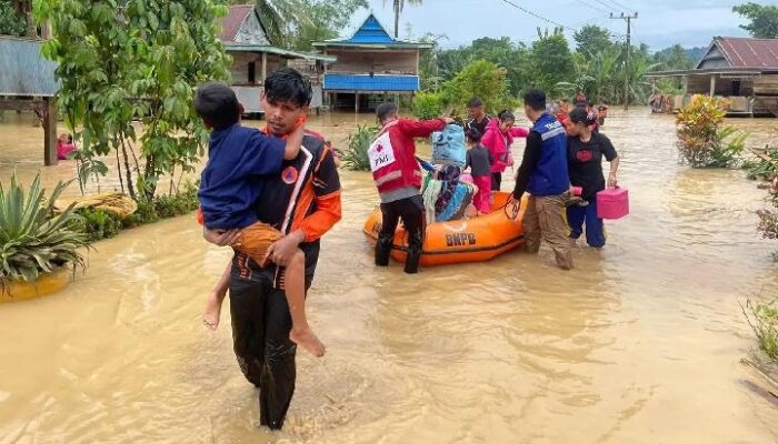 BNPB: Banjir Melanda Wajo 12.931 Jiwa Terdampak