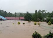 14 Warga Meninggal Akibat Banjir dan Longsor di Kabupaten Luwu