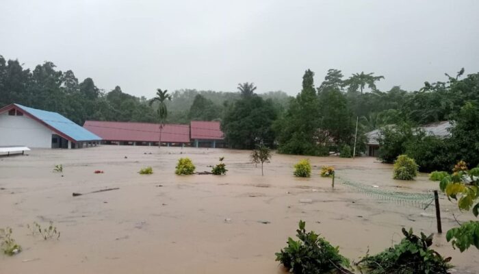 14 Warga Meninggal Akibat Banjir dan Longsor di Kabupaten Luwu