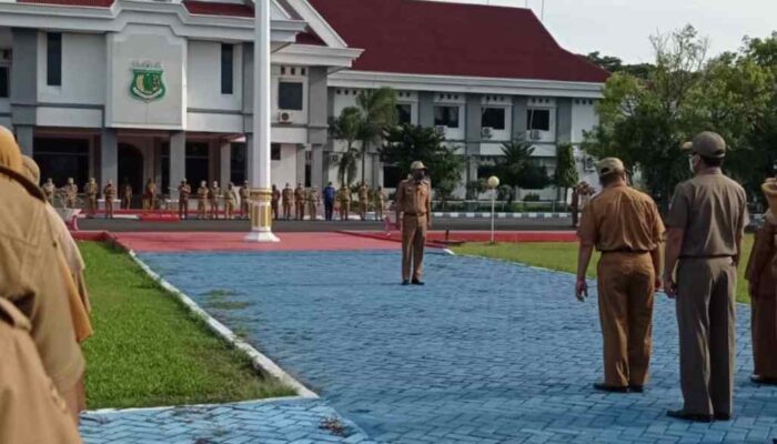 Pemkab Pinrang Siapkan Rp4 M, Tunggakan Gaji 8 Persen Ribuan ASN