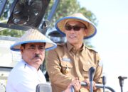 Pj.Bupati Pinrang Dampingi Pj.Gubernur Sulsel Panen Raya Padi Hasil Optimalisasi Lahan Rawa