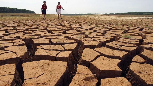 4 Provinsi di Indonesia Siaga 1 Kekeringan