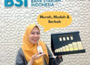 Investasi Emas BSI Pinrang Capai Rp3,6M Lebih Per Juli 2024, Naik 166% dari Tahun Lalu