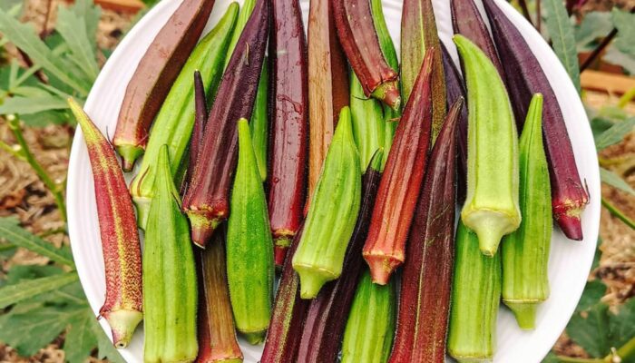 Ternyata ini 17 Makanan Dapat Menurunkan Gula Darah