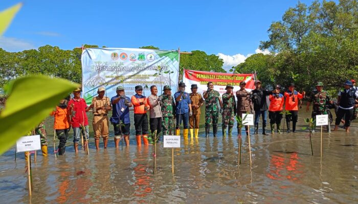 700 Mangrove Ditanam Langkah Mitigasi Bencana di Desa Paria