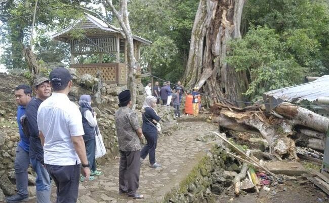 Pohon Tumbang di Situs Mattabulu Soppeng, 9 Orang Tewas