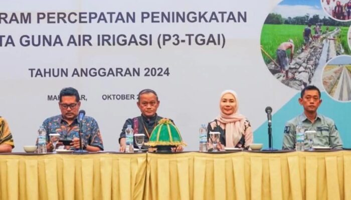 Husni Nakka Hadiri Sosialisasi Tingkat Balai Tahap III Program P3-PTGAI