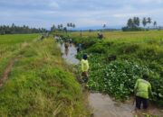 UPTD Wilayah Tiroang Bersama Warga Gotong Royong Pembersihan Saluran Skunder Boki Tiroang