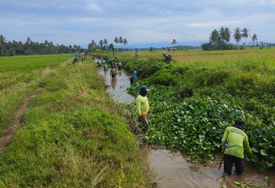 UPTD Wilayah Tiroang Bersama Warga Gotong Royong Pembersihan Saluran Skunder Boki Tiroang