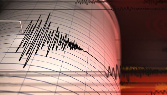 Jepang Dihantam Gempa-Tsunami, Begini Kondisi Ribuan WNI di Prefektur Miyazaki