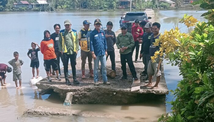 Plt Kadis SDABK Bersama Sekda Pinrang Pantau Sawah Terdampak Banjir
