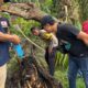 Kerangka Manusia Ditemukan dalam Batang Pohon Aren, Diduga Korban Pembunuhan - angindai.com