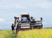 Gubernur Sulsel Apresiasi Peran Strategis Pinrang sebagai Penyangga Pangan